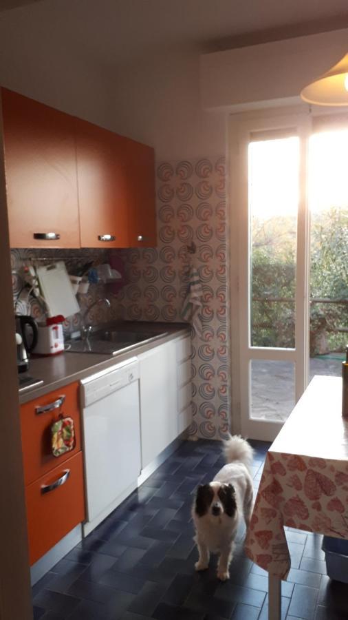 Villa Giulia Al Mare Castiglione della Pescaia Ngoại thất bức ảnh
