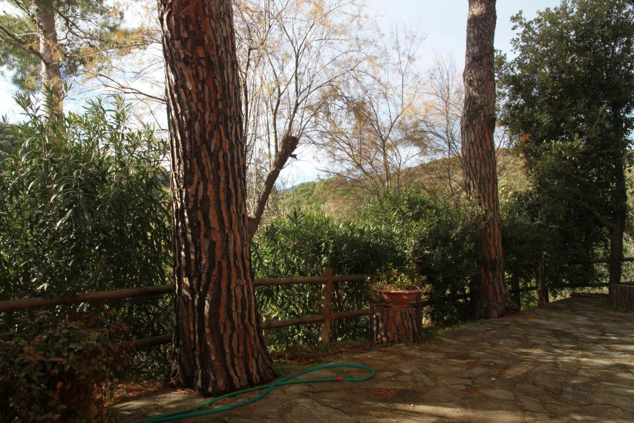 Villa Giulia Al Mare Castiglione della Pescaia Ngoại thất bức ảnh