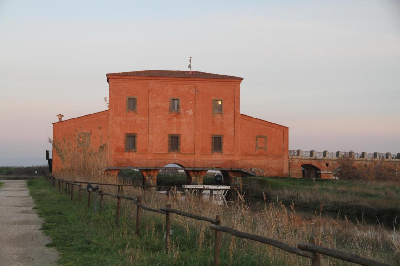 Villa Giulia Al Mare Castiglione della Pescaia Ngoại thất bức ảnh