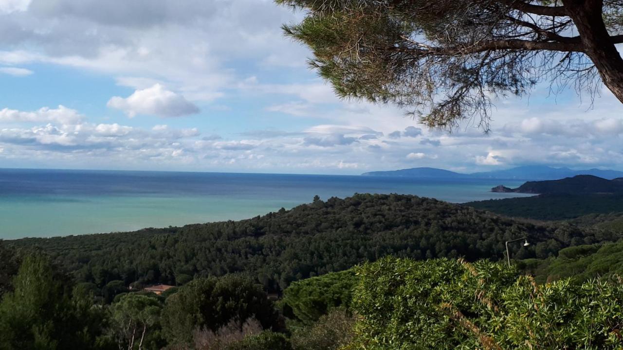 Villa Giulia Al Mare Castiglione della Pescaia Ngoại thất bức ảnh