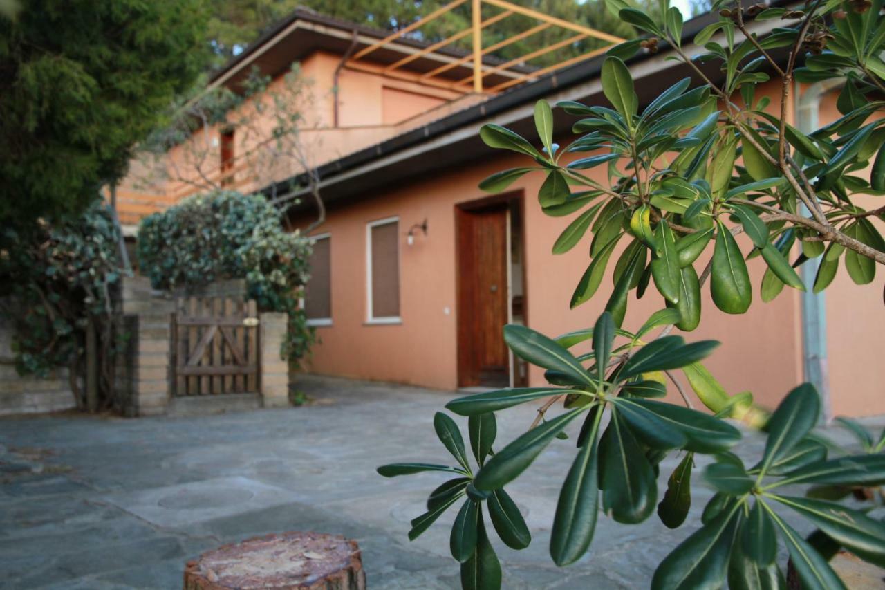 Villa Giulia Al Mare Castiglione della Pescaia Ngoại thất bức ảnh
