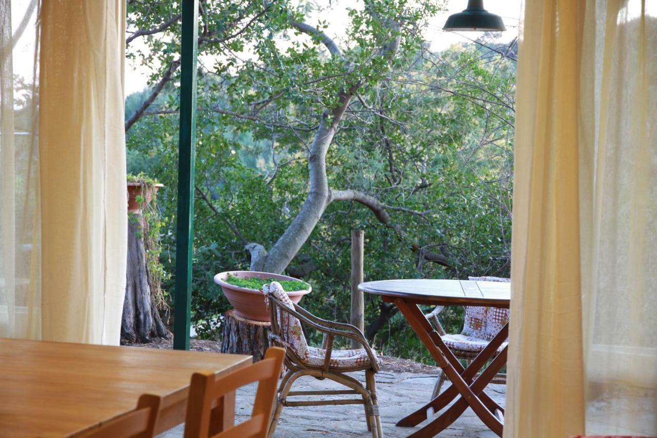 Villa Giulia Al Mare Castiglione della Pescaia Ngoại thất bức ảnh